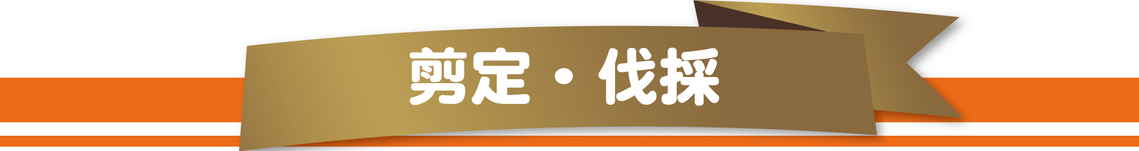 感謝を込めて買取り地域No.1を目指します。